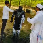 राष्ट्रवादी काँग्रेस पक्षाचे प्रवक्ते विकास लंवाडे यांच्यावर शाई फेकण्यात आली